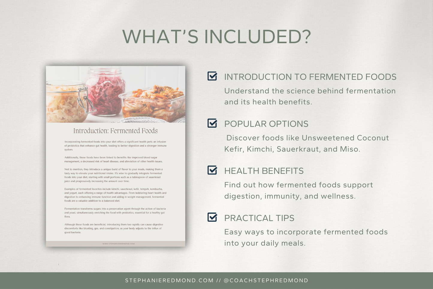 Ultimate Fermented Foods Ebook