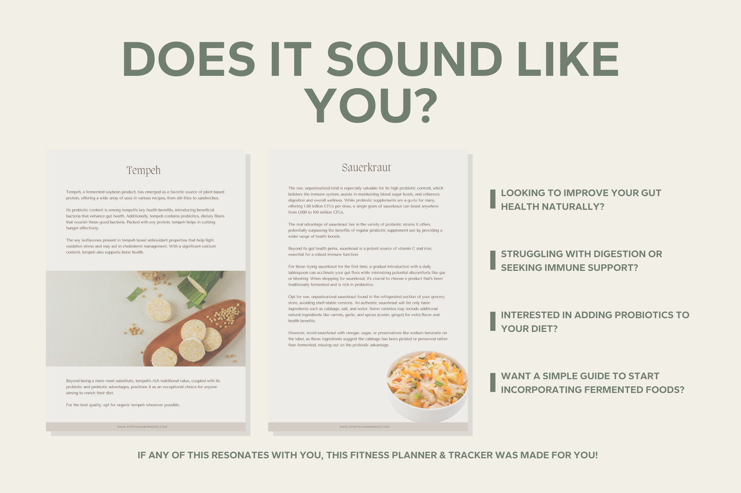 Ultimate Fermented Foods Ebook