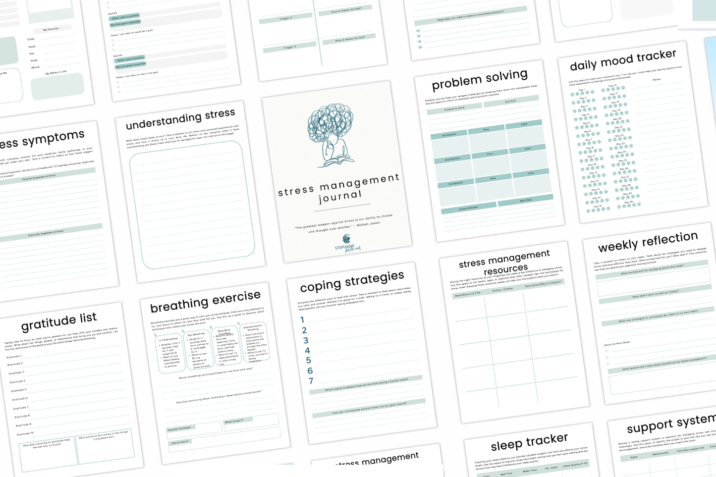 Stress Management Journal