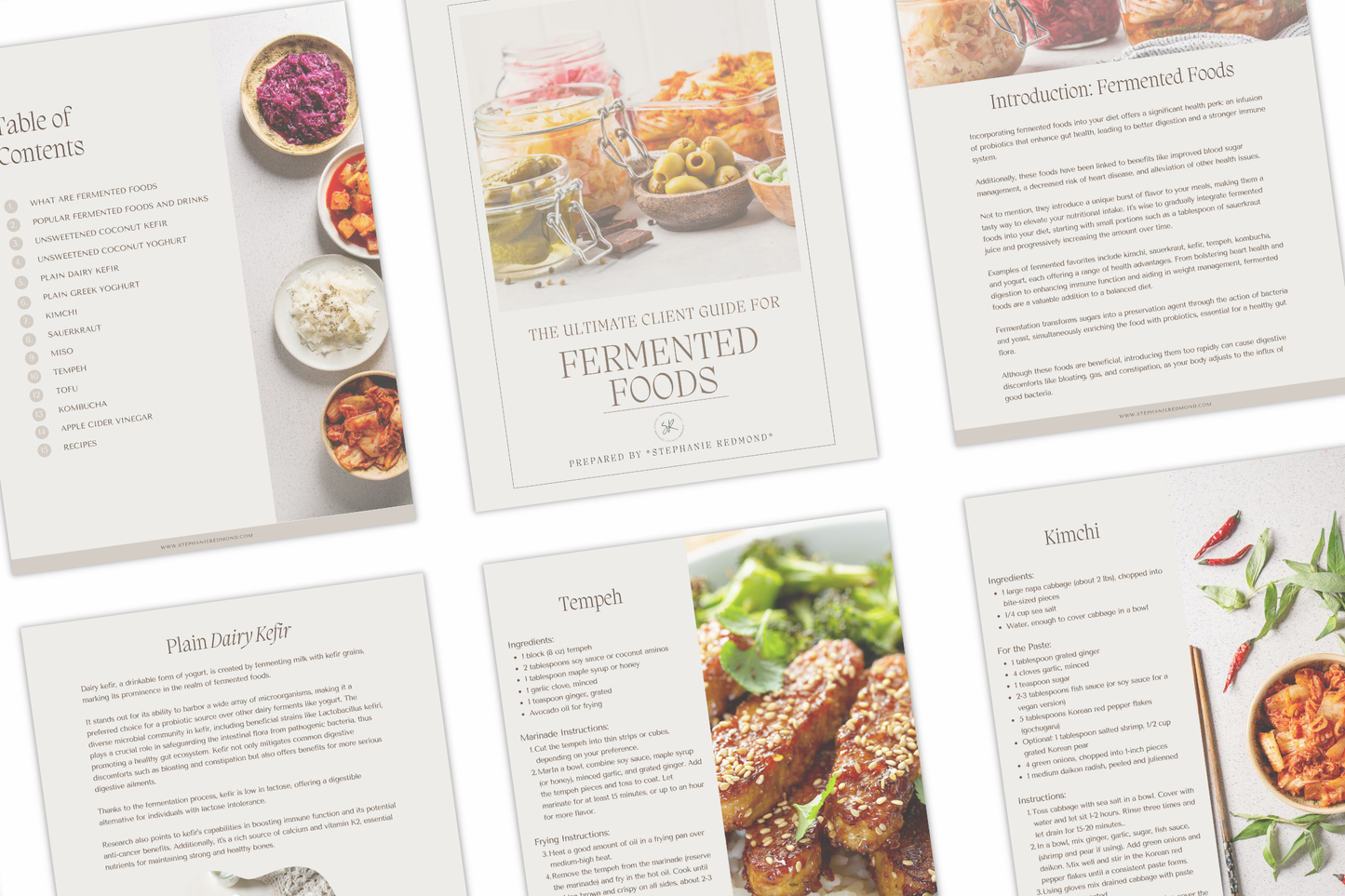 Ultimate Fermented Foods Ebook