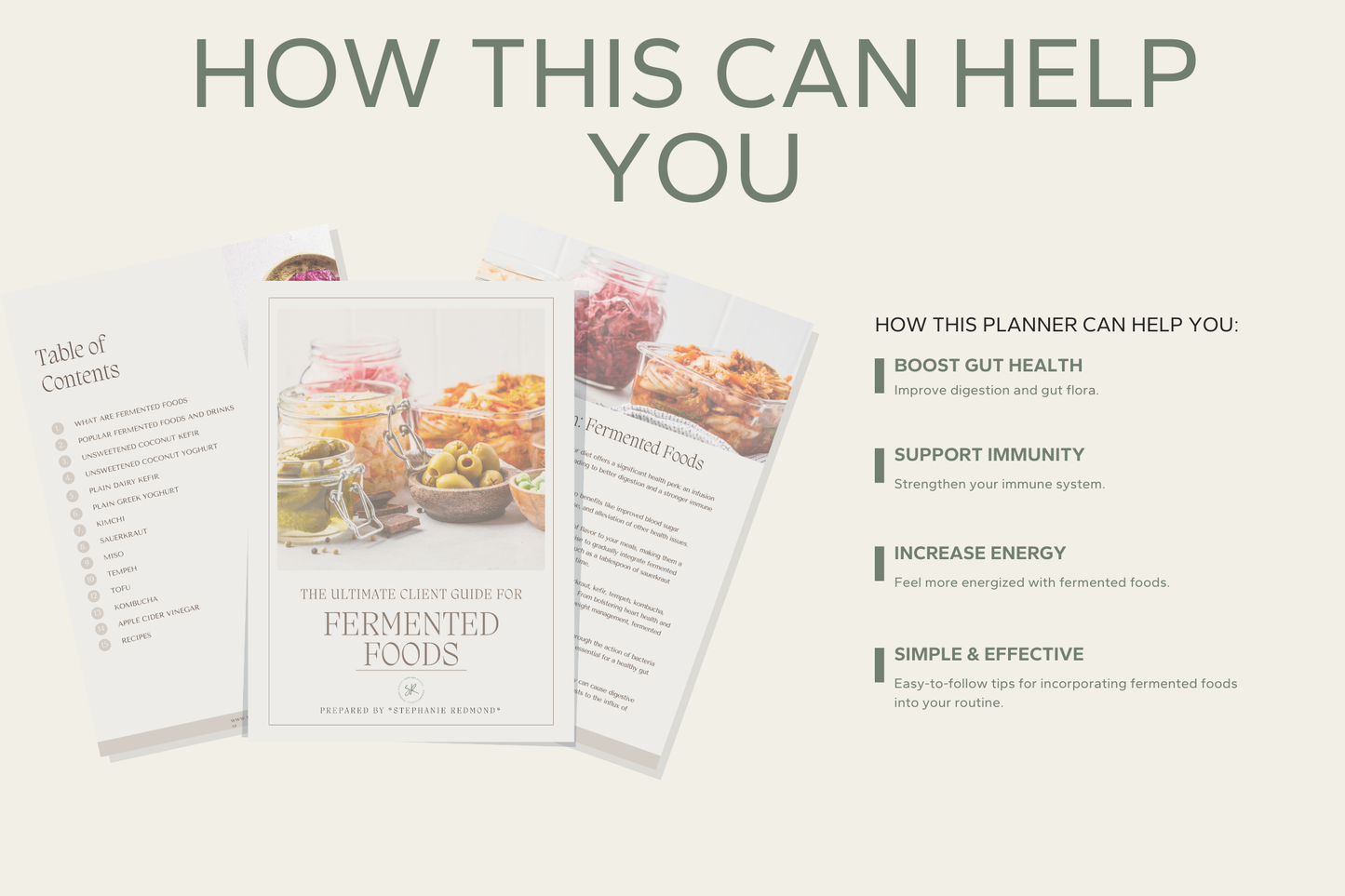Ultimate Fermented Foods Ebook