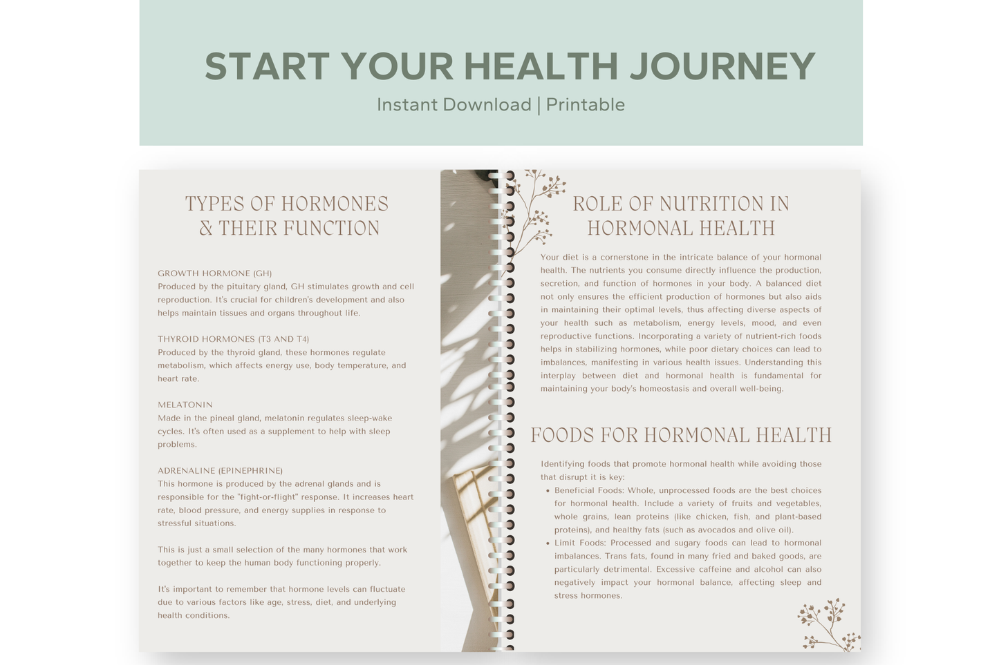 Ultimate Beginners Hormone Health Guide