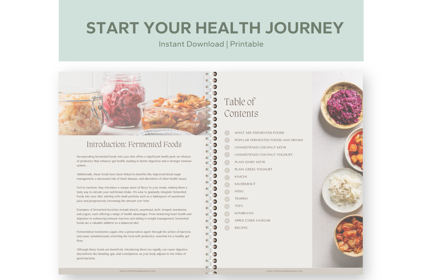 Ultimate Fermented Foods Ebook